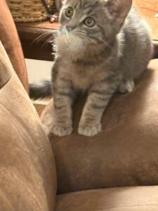 Tiny