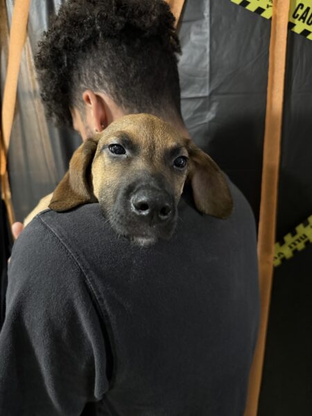 Need to Rehome ASAP