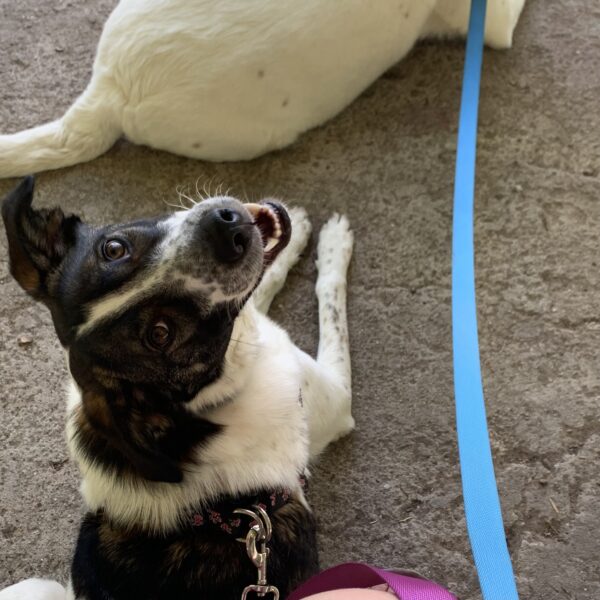 Sadie and Jackson