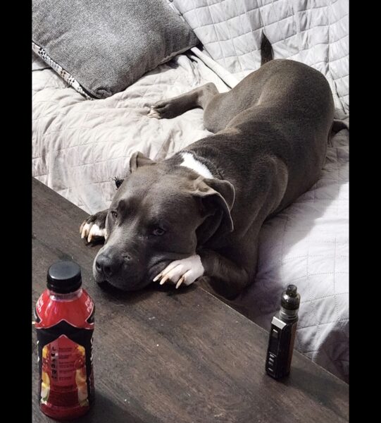 Rehome
