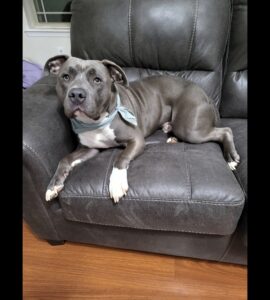 Rehome